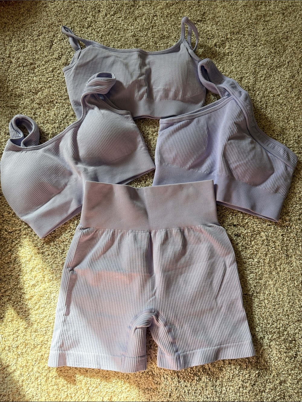 Lilac Ribbed Seamless Active Set - Top & High-Waist Shorts
